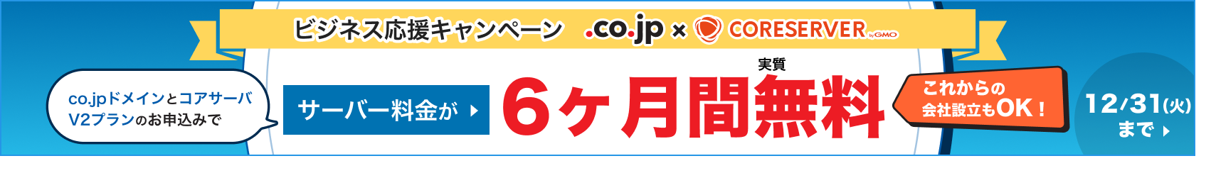 ビジネス応援キャンペーン サーバー料金が1年間無料